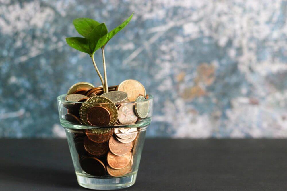 a plant growing from a glass filled with coins