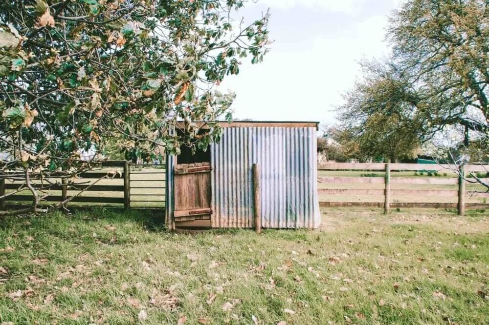 shed in the yard