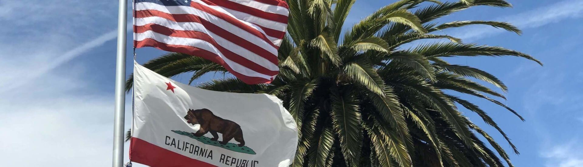flag and palm