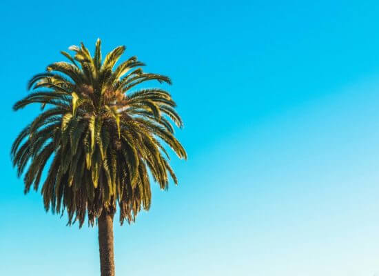 Here Are the Most Important Things to Know About Moving to California