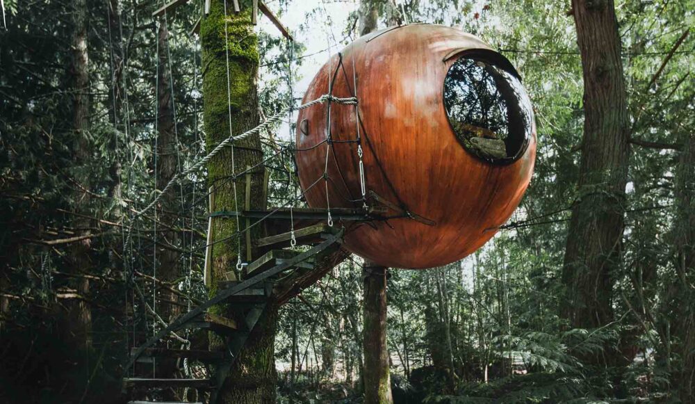 Wooden House on Tree