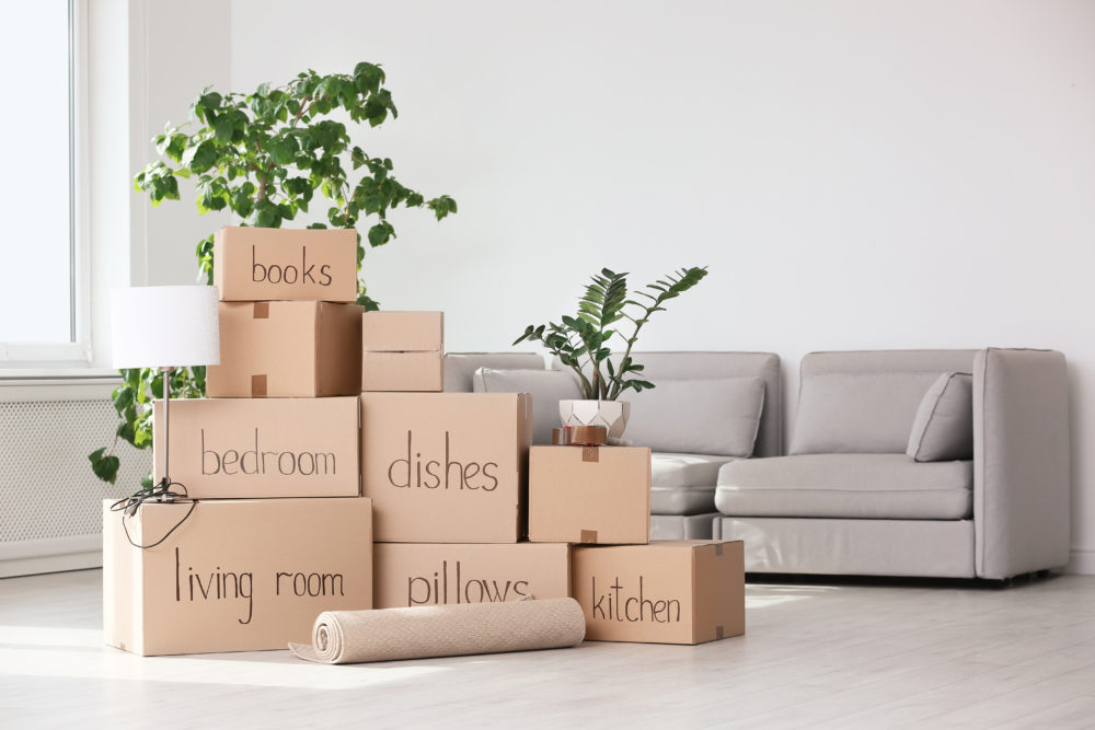 Pile of moving boxes and household stuff in living room