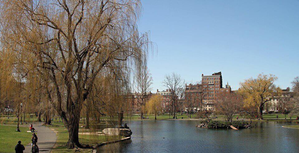 the park in the middle of boston