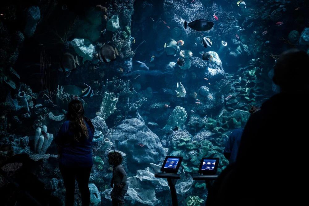 Aquarium