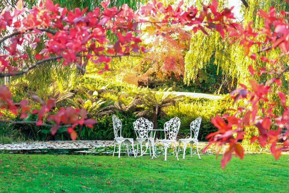 Beautifully arranged backyard with garden furniture