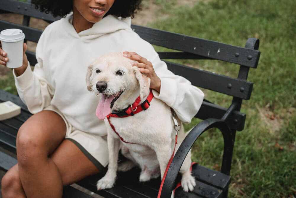 Woman is drinking coffee and sitting on a bench with her dog 