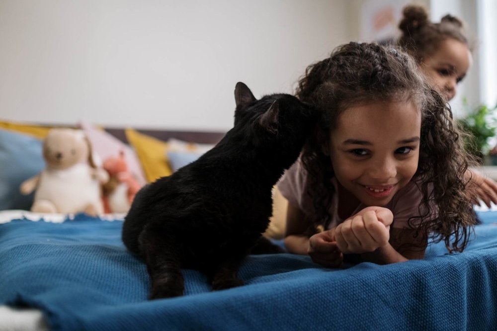 A girl playing with a black cat 