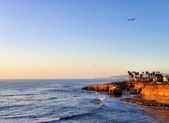 Your Bucket List of Unique Things to Do in San Diego