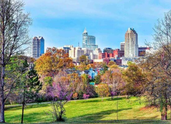 From High-Rises to Driveways: A Stress-Free Move and Auto Transport from New York to North Carolina