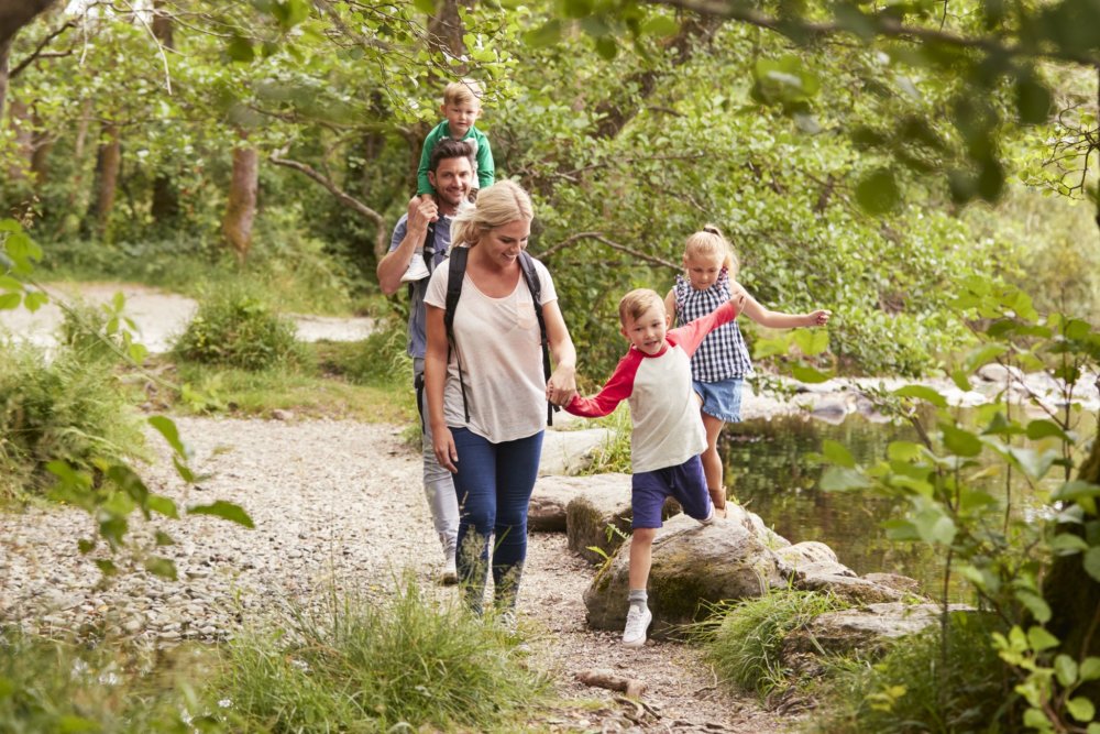  Family hiking in a park