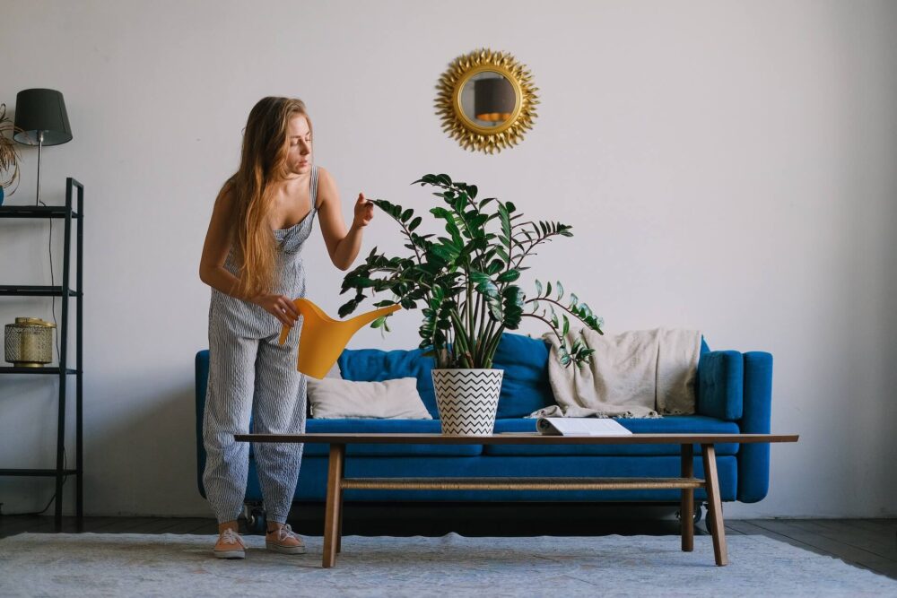 A girl watering a plant on the table