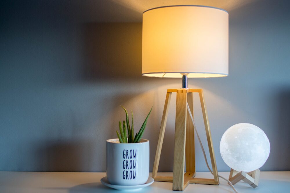 Lamp and a plant on a desk