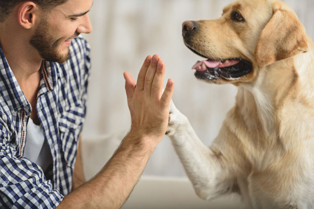 A man with the dog