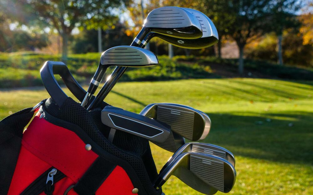 Golf clubs in a bag